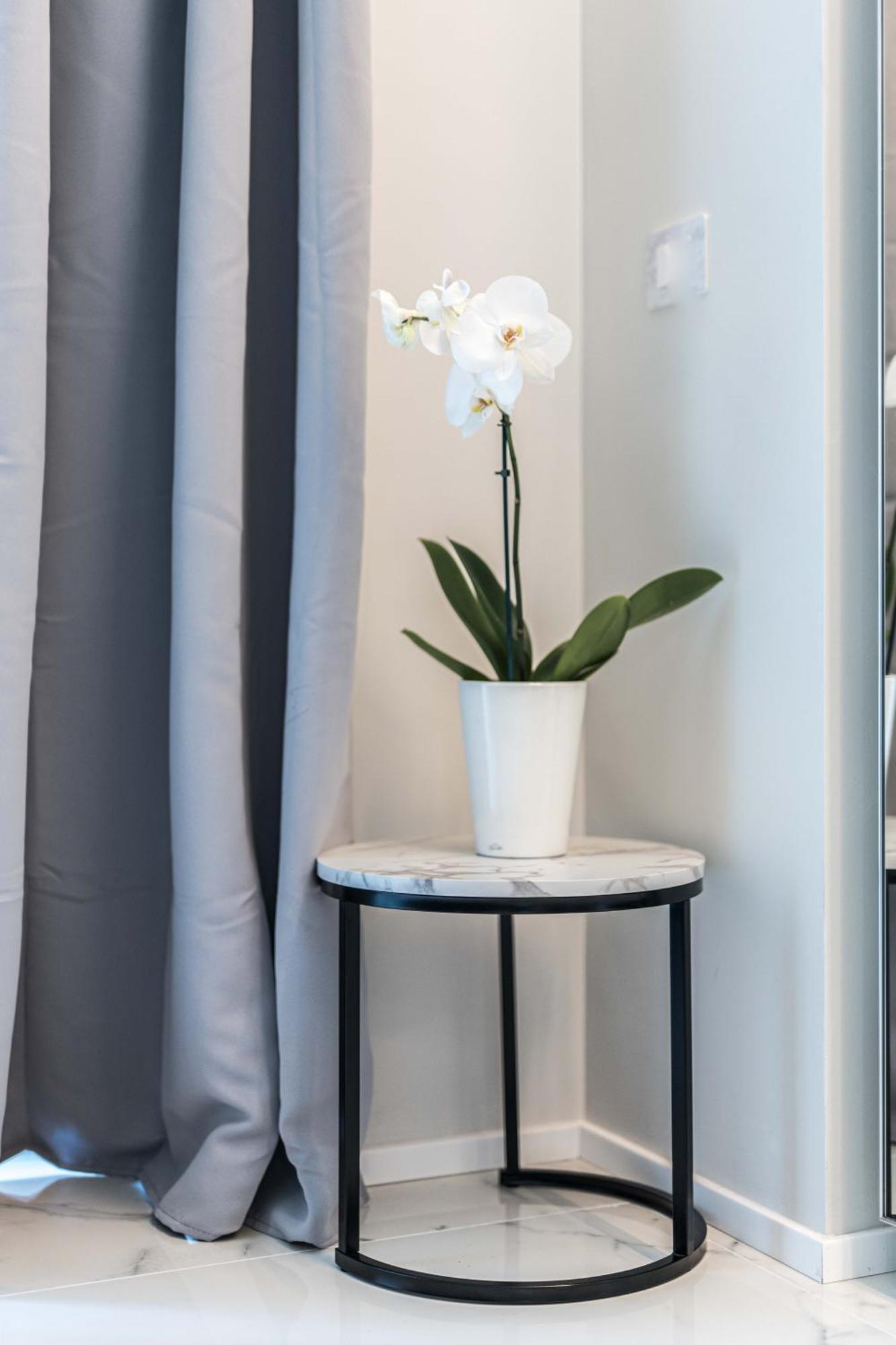 מילאנו Moscova Luxury New Suite מראה חיצוני תמונה